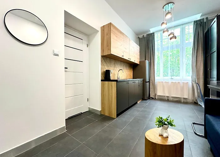 Mini Loft W Centrum & Parking Apartment